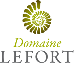 domaine-lefort-viticulteur-en-bourgogne-et-producteur-de-vin-mercurey-et-rully-logo300